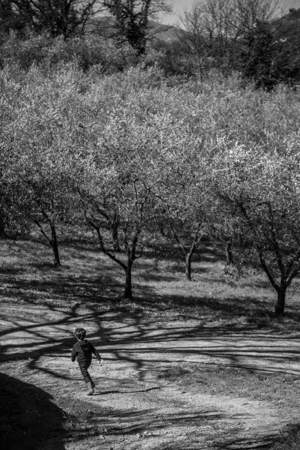 Locanda Agricola Posapiano Montecarlo Dış mekan fotoğraf