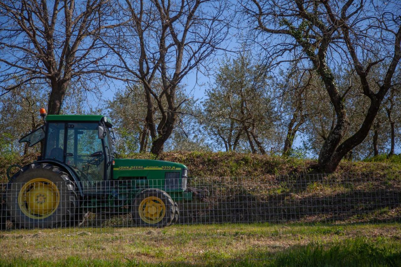 Locanda Agricola Posapiano Montecarlo Dış mekan fotoğraf