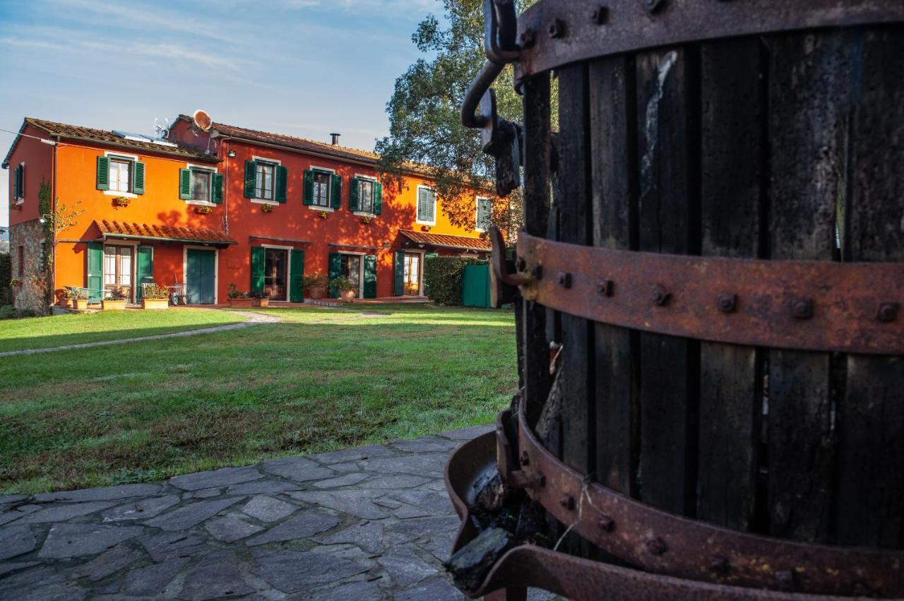 Locanda Agricola Posapiano Montecarlo Dış mekan fotoğraf